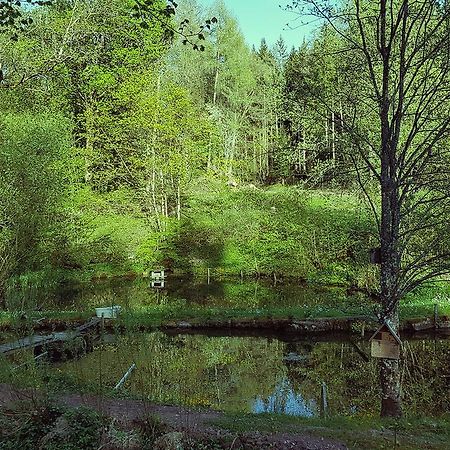 Gut Lauterbad Hotel Freudenstadt Eksteriør bilde