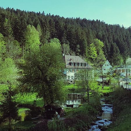 Gut Lauterbad Hotel Freudenstadt Eksteriør bilde