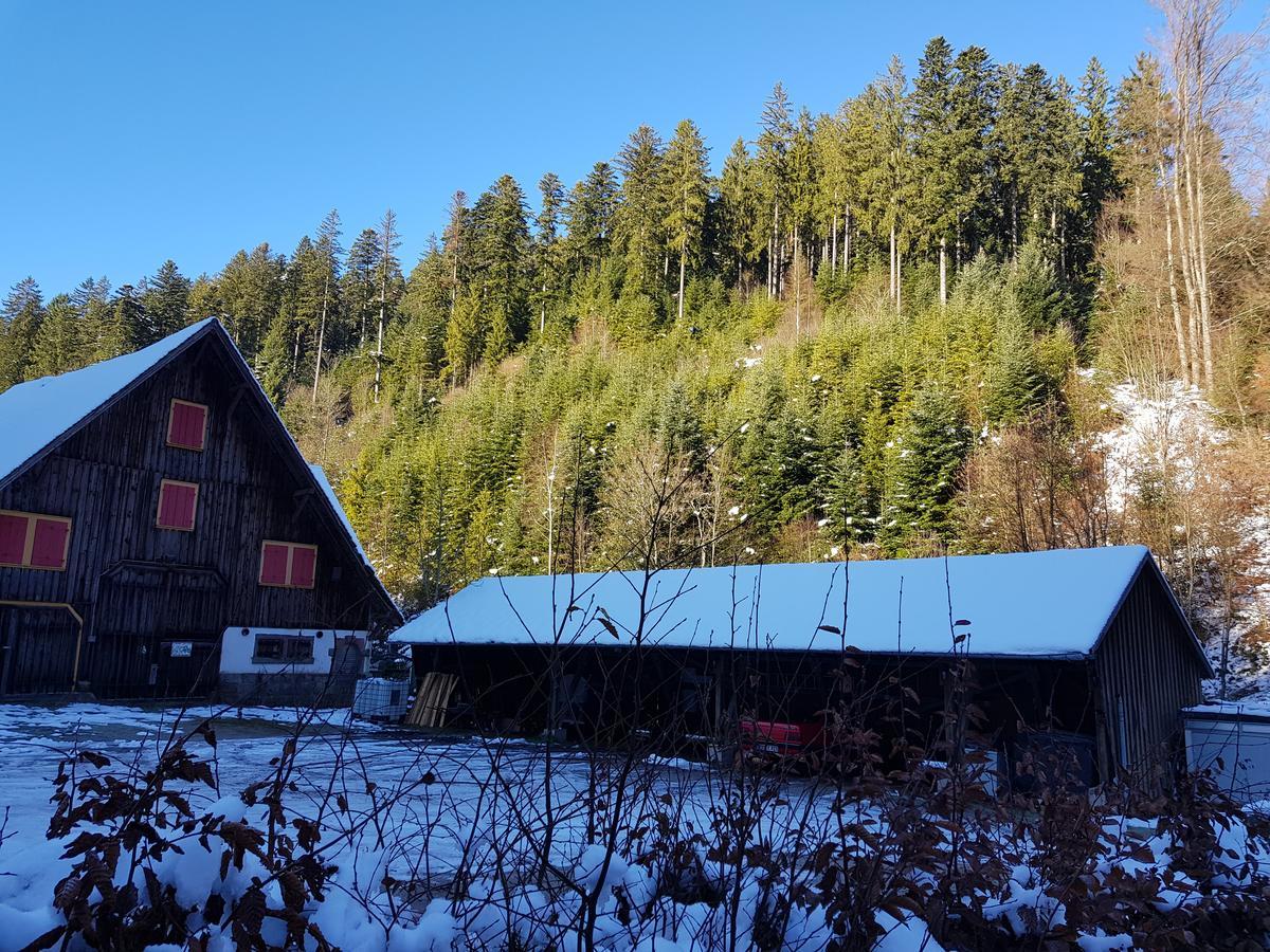 Gut Lauterbad Hotel Freudenstadt Eksteriør bilde