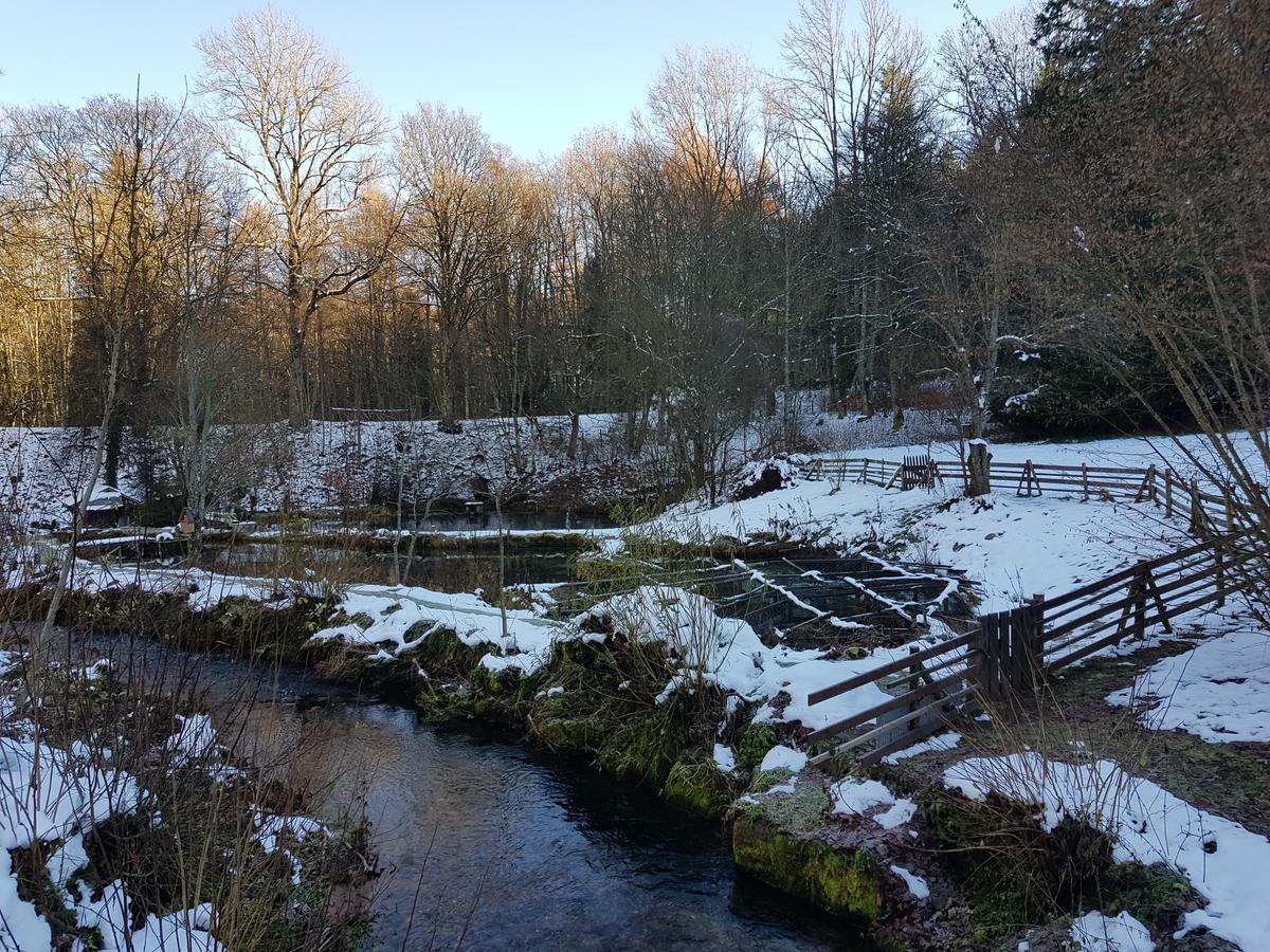 Gut Lauterbad Hotel Freudenstadt Eksteriør bilde