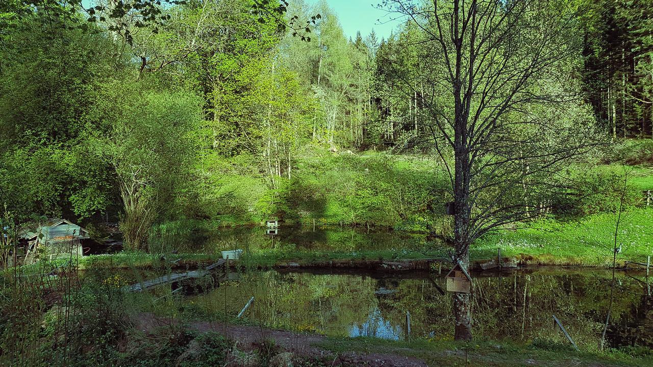 Gut Lauterbad Hotel Freudenstadt Eksteriør bilde