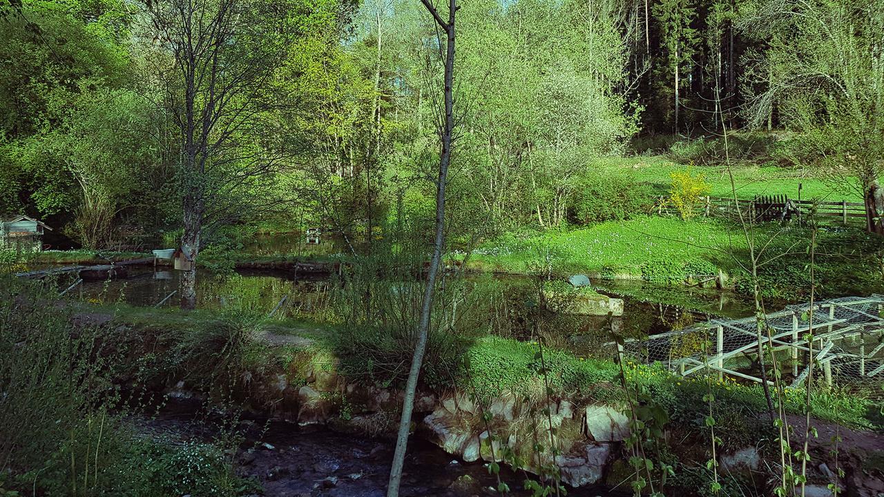 Gut Lauterbad Hotel Freudenstadt Eksteriør bilde